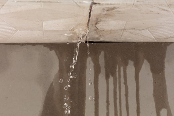 Professional Burst Pipe Cleanup technician working in Little Elm, TX